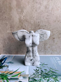 Howlite Angle With Wing